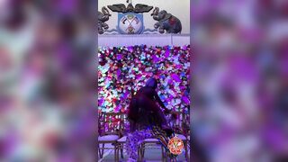 GibbyTheClown Onlyfans Leaks Girl Porn Video 52