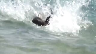 Naturist Babe Nude on Public Beach revealing cunt and tits Voyeurism 1139