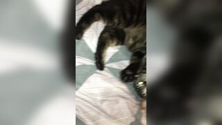 Stormimaya (Stormi Maya) OnlyFans Leaks Girl Porn Video 74