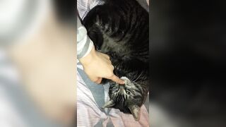 Stormimaya (Stormi Maya) OnlyFans Leaks Girl Porn Video 74