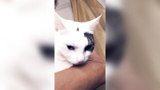 Stormimaya (Stormi Maya) OnlyFans Leaks Girl Porn Video 68