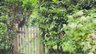 Goddess Amber (amber00) OnlyFans Leaks Girl Porn Video 41