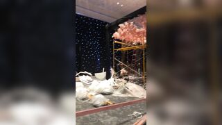 Bella Thorne (Bellathorne) OnlyFans Leaks Gal Porn Video 37