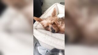 VCamilav (Camila Valentina) OnlyFans Leaks Skinny Small Tits Asian Gal 43