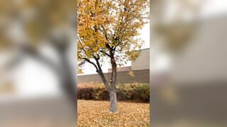 VCamilav (Camila Valentina) OnlyFans Leaks Skinny Small Tits Asian Gal 31