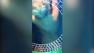 Linsey Donovan (linsey99) OnlyFans Leaks 2022 Pet of the Month Skinny Blonde 57