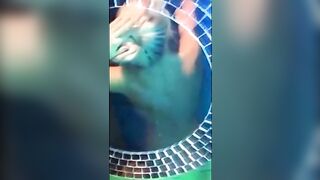 Linsey Donovan (linsey99) OnlyFans Leaks 2022 Pet of the Month Skinny Blonde 57