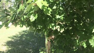 Linsey Donovan (linsey99) OnlyFans Leaks 2022 Pet of the Month Skinny Blonde 77