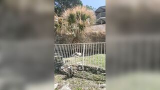 Sara Ames (thesaraames) OnlyFans Leaks Sexy Lovely Neighbour Girl 68