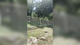 Sara Ames (thesaraames) OnlyFans Leaks Sexy Lovely Neighbour Girl 68