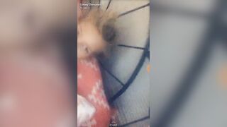 Linsey Donovan (linsey99) OnlyFans Leaks 2022 Pet of the Month Skinny Blonde 38