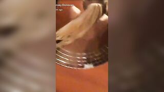 Linsey Donovan (linsey99) OnlyFans Leaks 2022 Pet of the Month Skinny Blonde 53