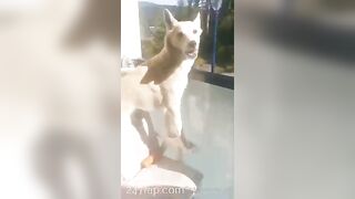 Gracie Greyyxo Baby Face White Skin OnlyFans Leaked Amateur Porn Video 31