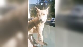 Gracie Greyyxo Baby Face White Skin OnlyFans Leaked Amateur Porn Video 31