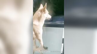 Gracie Greyyxo Baby Face White Skin OnlyFans Leaked Amateur Porn Video 31