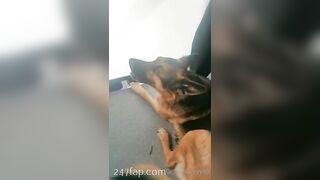 Gracie Greyyxo Baby Face White Skin OnlyFans Leaked Amateur Porn Video 31