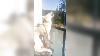 Gracie Greyyxo Baby Face White Skin OnlyFans Leaked Amateur Porn Video 31