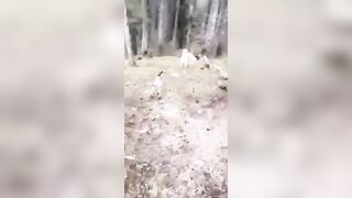 Gracie Greyyxo Baby Face White Skin OnlyFans Leaked Amateur Porn Video 35