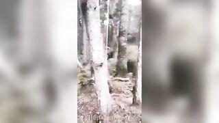 Gracie Greyyxo Baby Face White Skin OnlyFans Leaked Amateur Porn Video 35