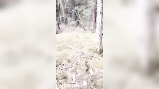 Gracie Greyyxo Baby Face White Skin OnlyFans Leaked Amateur Porn Video 35