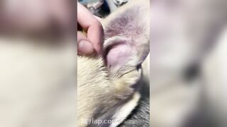 Gracie Greyyxo Baby Face White Skin OnlyFans Leaked Amateur Porn Video 40