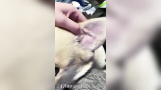 Gracie Greyyxo Baby Face White Skin OnlyFans Leaked Amateur Porn Video 40