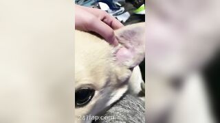 Gracie Greyyxo Baby Face White Skin OnlyFans Leaked Amateur Porn Video 40