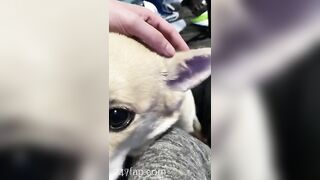 Gracie Greyyxo Baby Face White Skin OnlyFans Leaked Amateur Porn Video 40