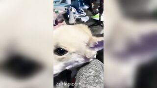 Gracie Greyyxo Baby Face White Skin OnlyFans Leaked Amateur Porn Video 40