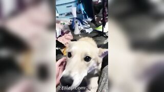 Gracie Greyyxo Baby Face White Skin OnlyFans Leaked Amateur Porn Video 40