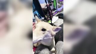 Gracie Greyyxo Baby Face White Skin OnlyFans Leaked Amateur Porn Video 40