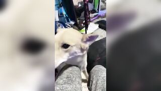 Gracie Greyyxo Baby Face White Skin OnlyFans Leaked Amateur Porn Video 40