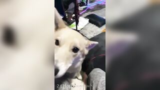 Gracie Greyyxo Baby Face White Skin OnlyFans Leaked Amateur Porn Video 40