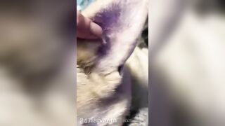 Gracie Greyyxo Baby Face White Skin OnlyFans Leaked Amateur Porn Video 40