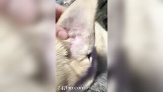 Gracie Greyyxo Baby Face White Skin OnlyFans Leaked Amateur Porn Video 40