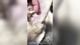 Gracie Greyyxo Baby Face White Skin OnlyFans Leaked Amateur Porn Video 40