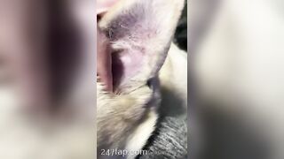 Gracie Greyyxo Baby Face White Skin OnlyFans Leaked Amateur Porn Video 40