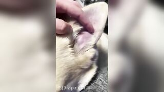 Gracie Greyyxo Baby Face White Skin OnlyFans Leaked Amateur Porn Video 40