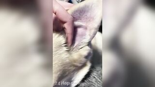 Gracie Greyyxo Baby Face White Skin OnlyFans Leaked Amateur Porn Video 40