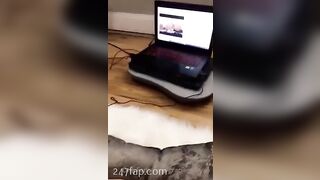 Gracie Greyyxo Baby Face White Skin OnlyFans Leaked Amateur Porn Video 86