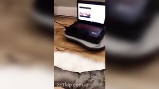 Gracie Greyyxo Baby Face White Skin OnlyFans Leaked Amateur Porn Video 86