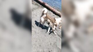 Gracie Greyyxo Baby Face White Skin OnlyFans Leaked Amateur Porn Video 94