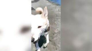 Gracie Greyyxo Baby Face White Skin OnlyFans Leaked Amateur Porn Video 94