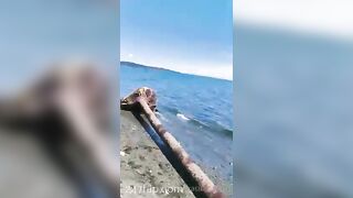 Gracie Greyyxo Baby Face White Skin OnlyFans Leaked Amateur Porn Video 94