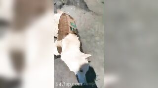 Gracie Greyyxo Baby Face White Skin OnlyFans Leaked Amateur Porn Video 94