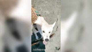 Gracie Greyyxo Baby Face White Skin OnlyFans Leaked Amateur Porn Video 94