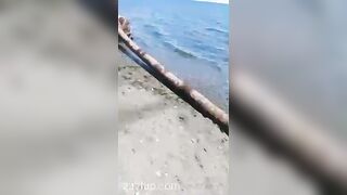 Gracie Greyyxo Baby Face White Skin OnlyFans Leaked Amateur Porn Video 94