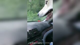 Gracie Greyyxo Baby Face White Skin OnlyFans Leaked Amateur Porn Video 150