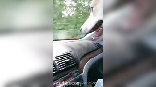 Gracie Greyyxo Baby Face White Skin OnlyFans Leaked Amateur Porn Video 150