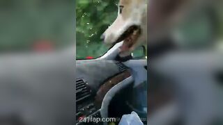 Gracie Greyyxo Baby Face White Skin OnlyFans Leaked Amateur Porn Video 150